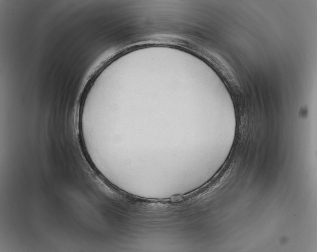 X0000116681180201001111325