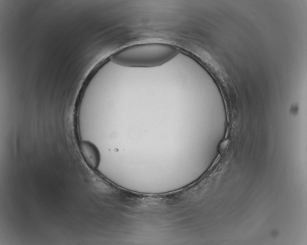 X0000116681181201001111325