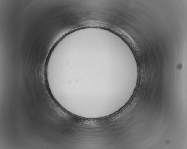 X0000116681182201001111325