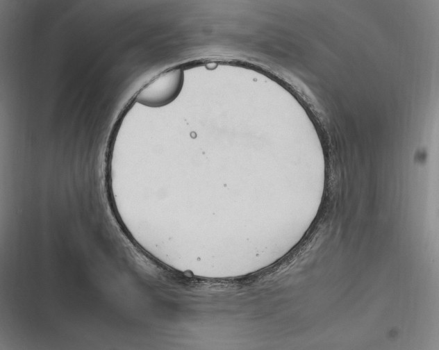 X0000116681183201001111325