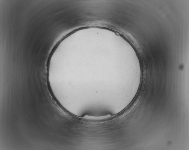 X0000116681184201001111325