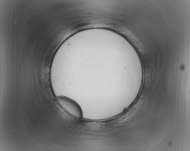 X0000116681185201001111325