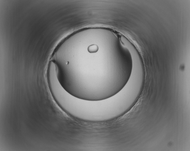 X0000116681189201001111325