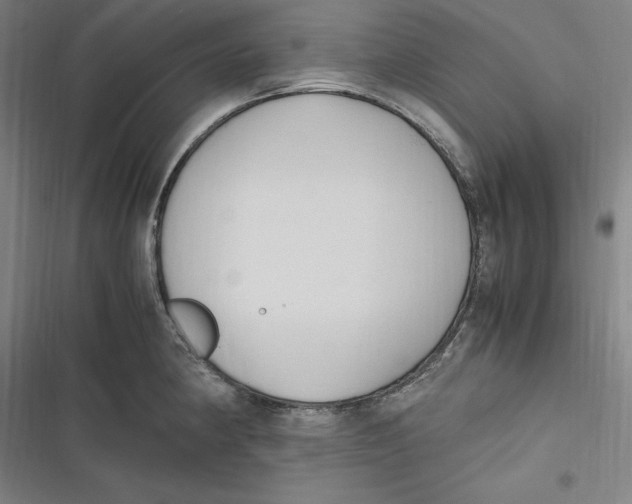 X0000116681190201001111325