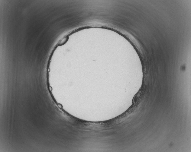 X0000116681191201001111325