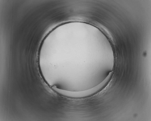 X0000116681192201001111325