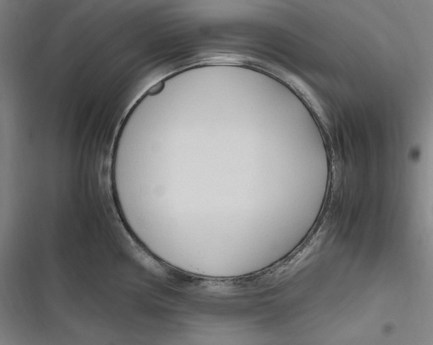 X0000116681194201001111325