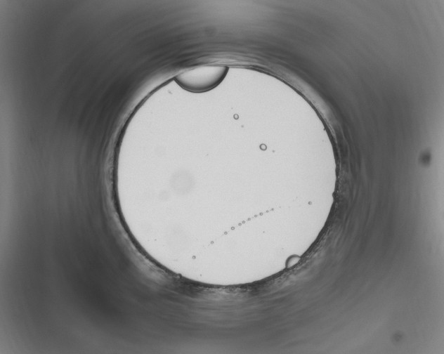 X0000116681195201001111325