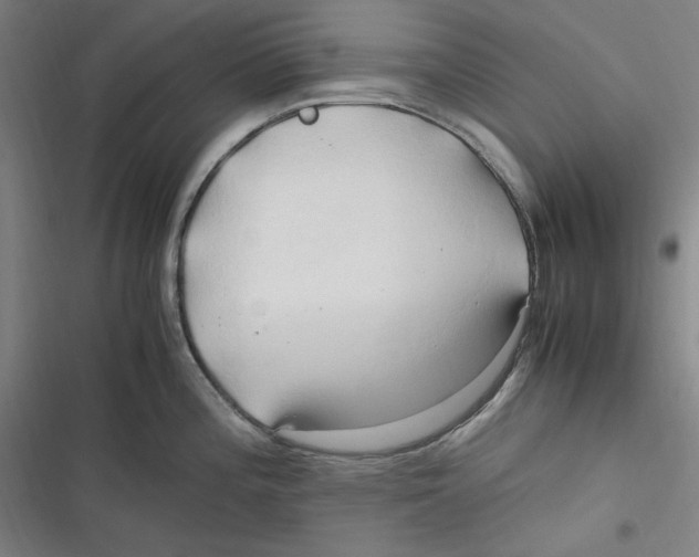 X0000116681196201001111325