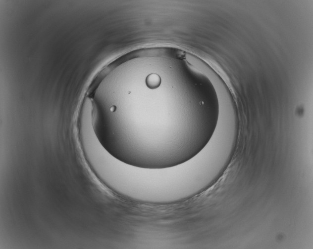 X0000116681197201001111325