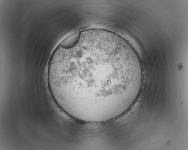 X0000116681198201001111325