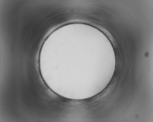 X0000116681199201001111325