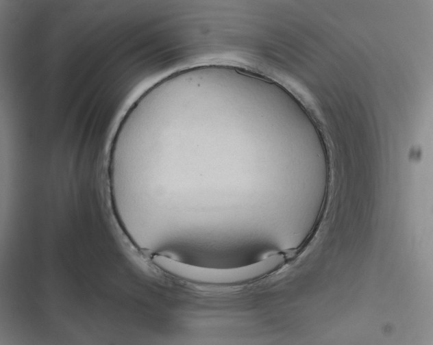 X0000116681200201001111325