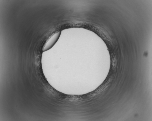 X0000116681204201001111324