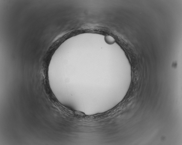 X0000116681206201001111324