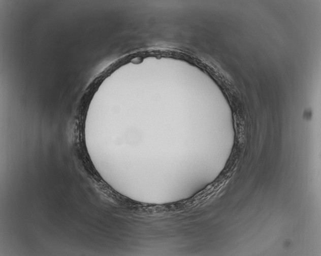 X0000116681208201001111325