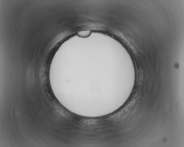 X0000116681211201001111325