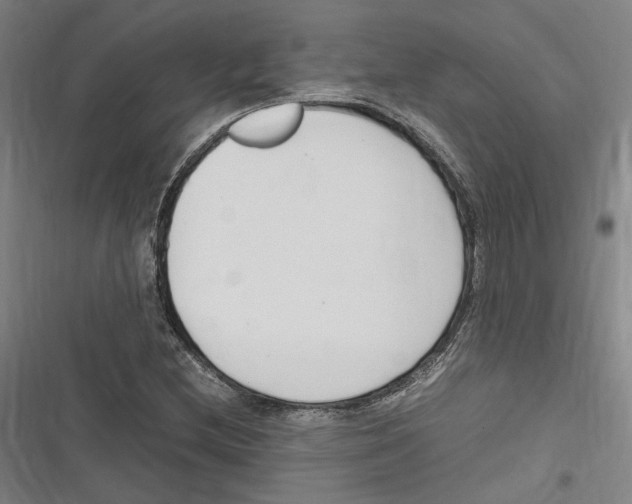 X0000116681212201001111325