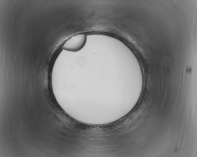 X0000116681214201001111325