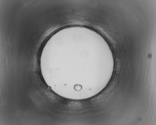 X0000116681215201001111325