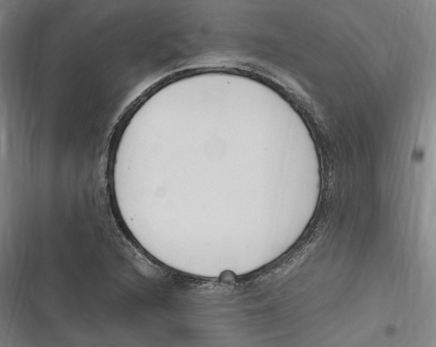 X0000116681216201001111325