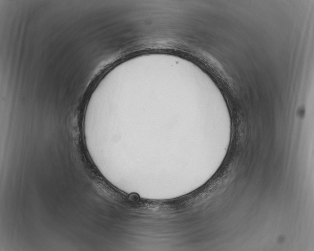 X0000116681218201001111325