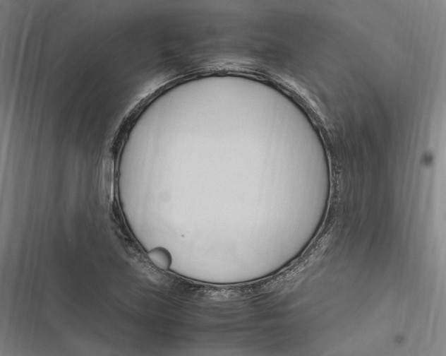 X0000116681219201001111325