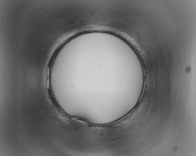 X0000116681223201001111325