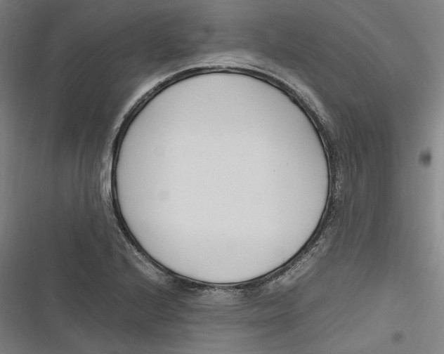 X0000116681224201001111325