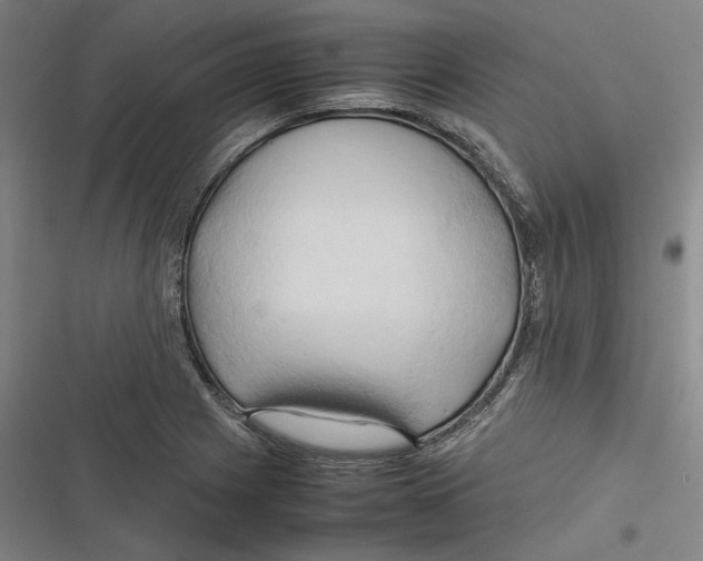 X0000116681225201001111325