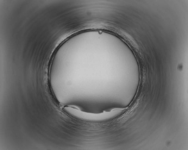 X0000116681226201001111325