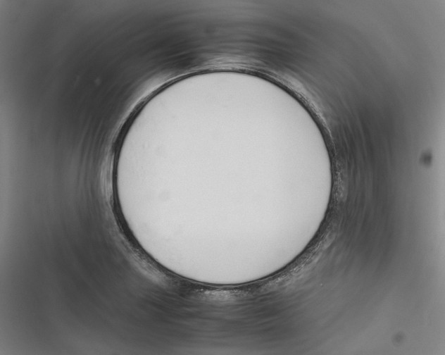 X0000116681227201001111325