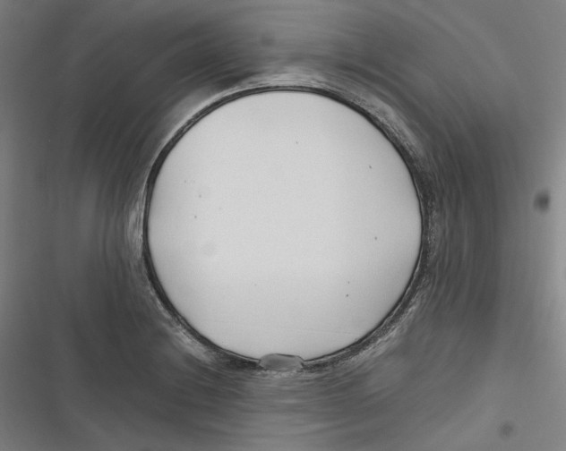 X0000116681228201001111325