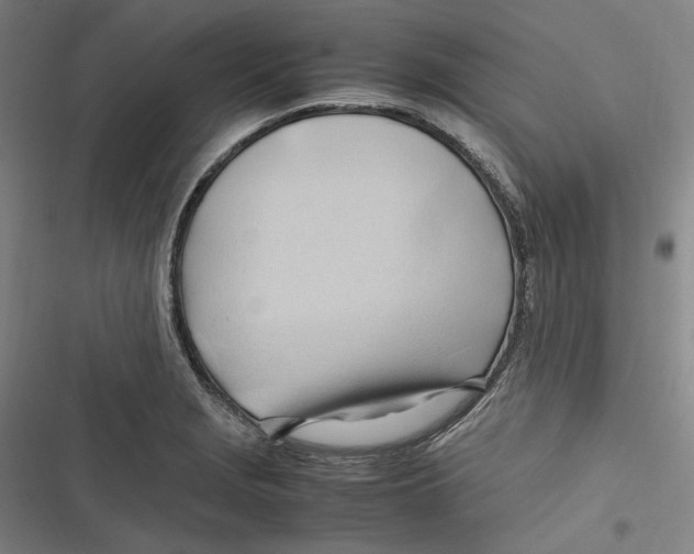 X0000116681229201001111325