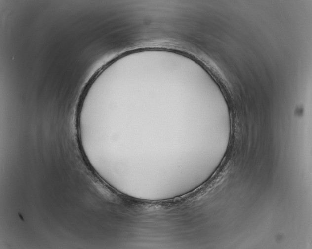 X0000116681230201001111325