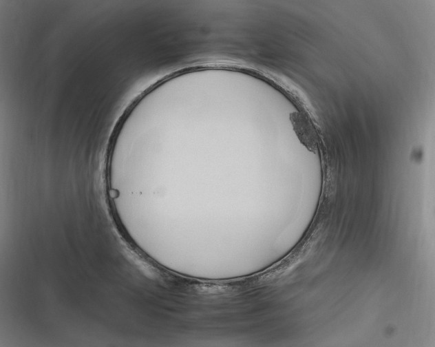 X0000116681231201001111325