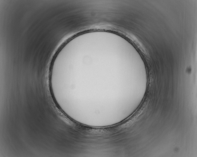 X0000116681232201001111325