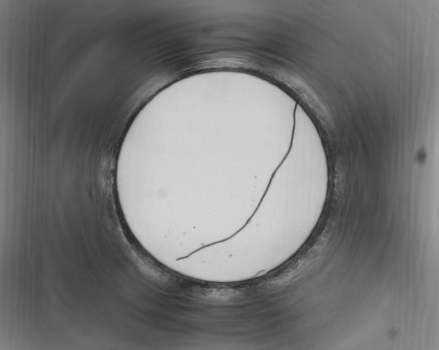 X0000116681233201001111325