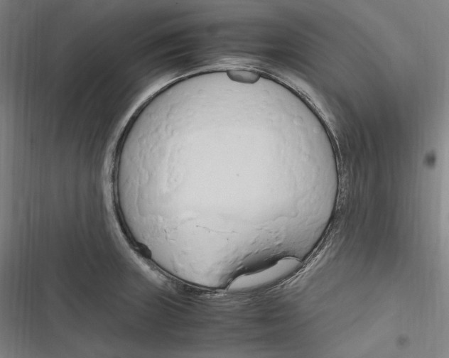 X0000116681235201001111325