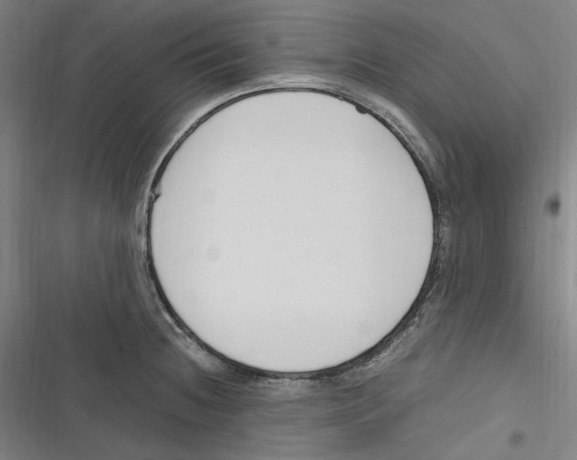 X0000116681236201001111325