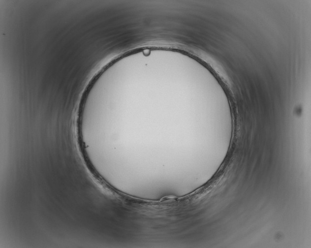 X0000116681237201001111325