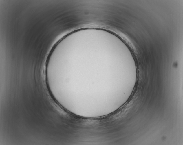 X0000116681238201001111325