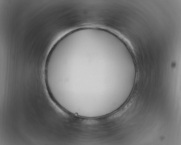 X0000116681239201001111325