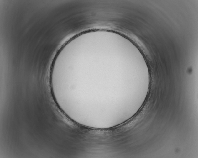 X0000116681240201001111325