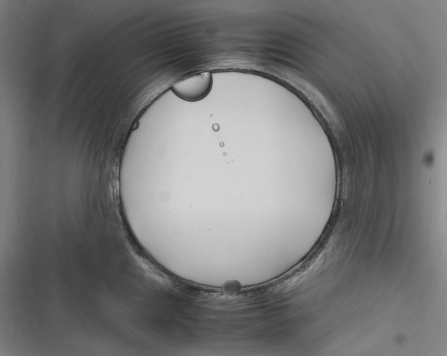 X0000116681241201001111325