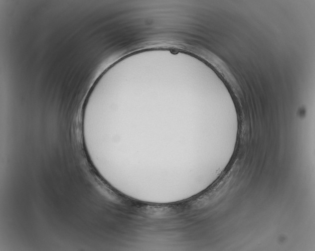 X0000116681242201001111325