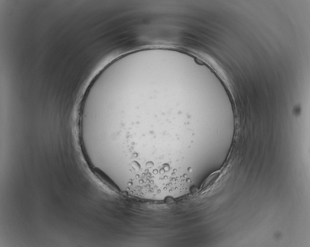 X0000116681243201001111325