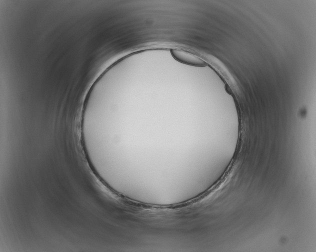 X0000116681244201001111325