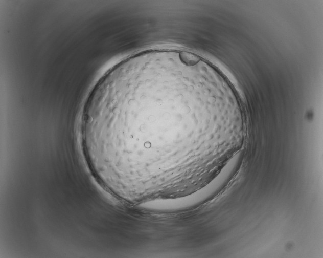 X0000116681245201001111325