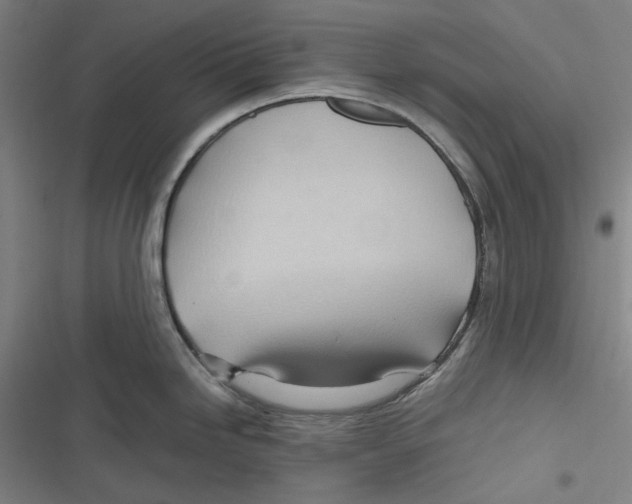 X0000116681246201001111325